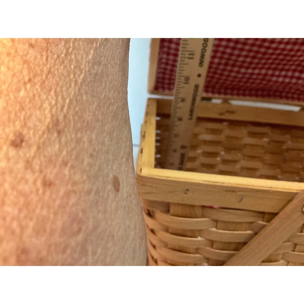 Vintage Picnic Basket Woven Wood Gingham Lining Turn Lock Large Tan
